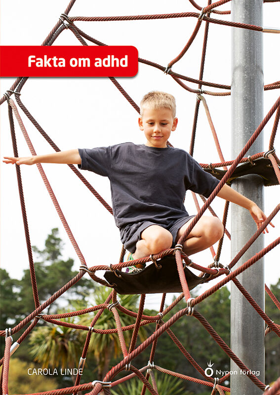 En pojke klättrar i klätterställning gjord av rep.