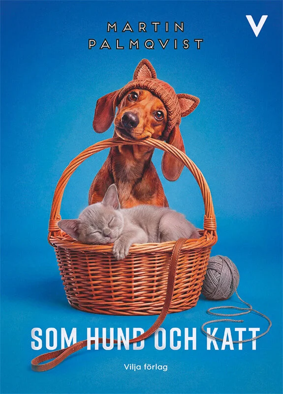 En katt sover i en korg. Bakom korgen sitter en hund.