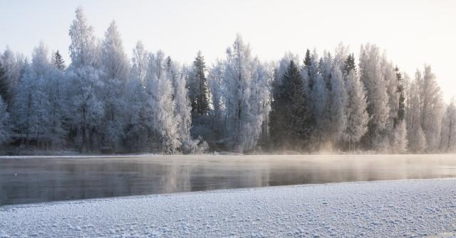 Ett vattendrag som håller på att frysa till is, frostiga träd i bakgrunden